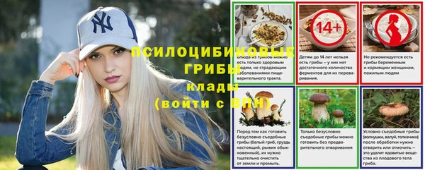 apvp Богданович