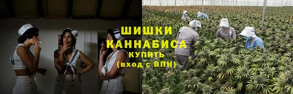 прущие грибы Лиски