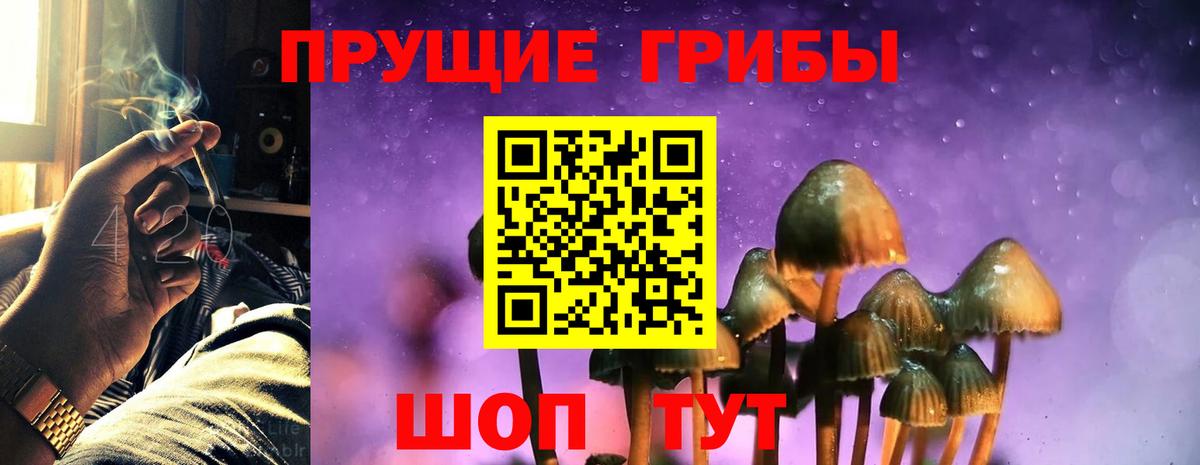 Галлюциногенные грибы ЛСД Богородицк